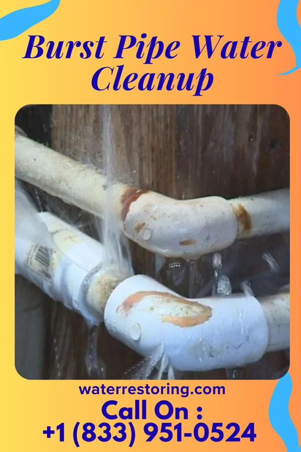Burst Pipe Water Cleanup in Fort Ritchie, MD