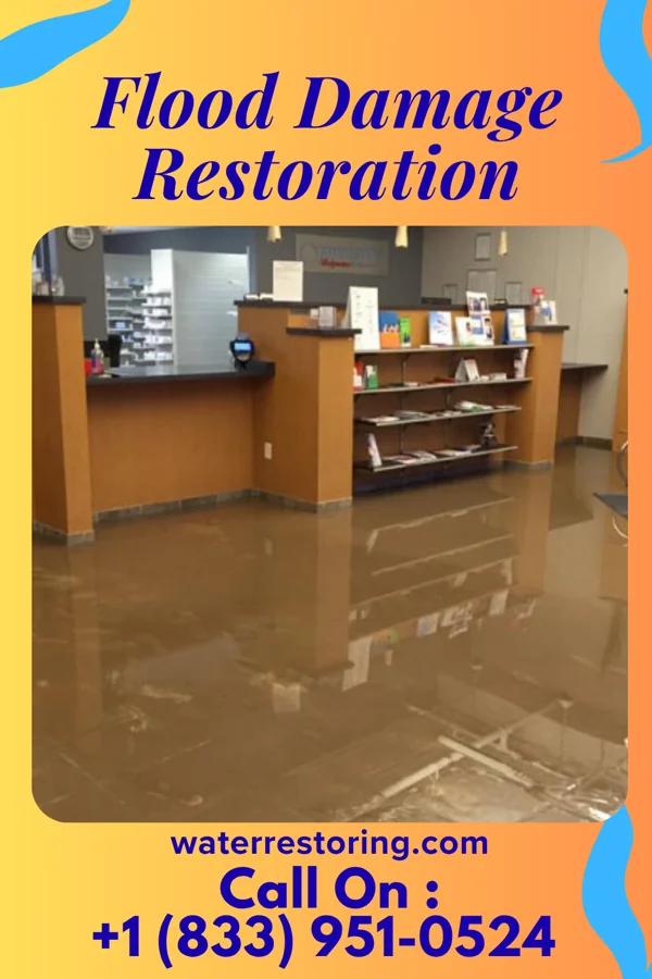 Flood Damage Restoration in Fort Ritchie, MD