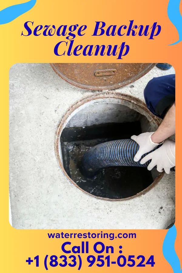 Sewage Backup Cleanup in Fort Ritchie, MD