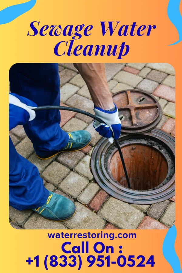 Sewage Water Cleanup in Fort Ritchie, MD