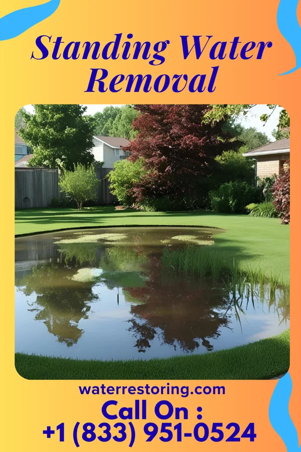Standing Water Removal in Fort Ritchie, MD
